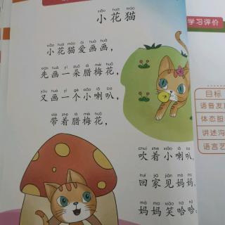 六一主持，小花猫