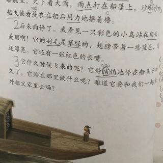 15.《搭船的鸟🐦》