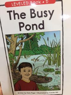 the busy pond