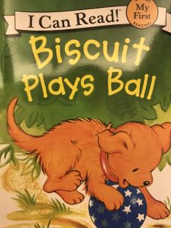 Biscuit Plays Ball