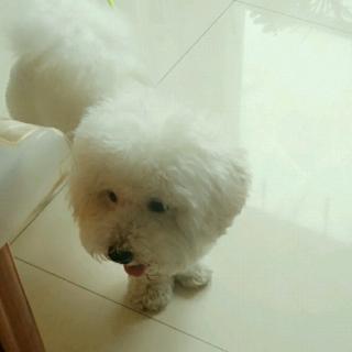 10月31日英语朗读