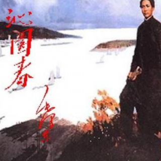 李博宇《沁园春·长沙》