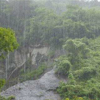 山雨   作者：赵丽宏