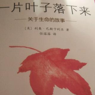 《一片叶子落下来》