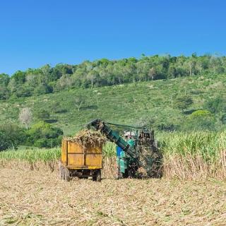 China ayuda a Cuba para construir moderno secadero de arroz