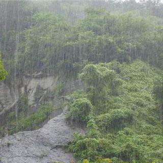 山 雨     作者     赵丽宏 