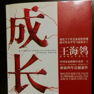 长篇小说：成长17