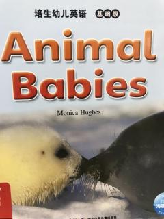 Animal babies