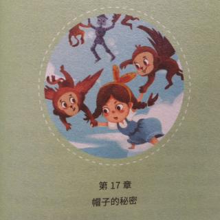 17.帽子的秘密