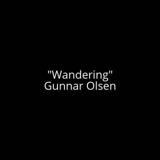 Gunnar Olsen - Wandering