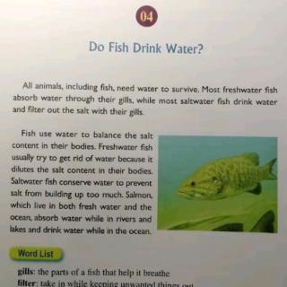 Do Fish Drink Water ?