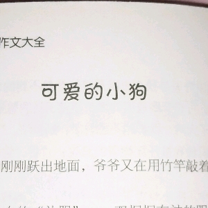 《可爱的小狗》