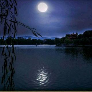 《琅琊山的月光》之十二《月光洒在明月池》