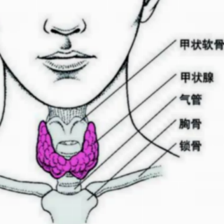 甲状腺癌的超声特点是什么？