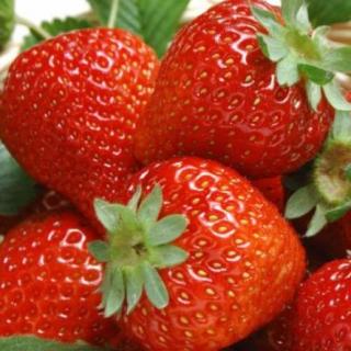 乐活双语健声房-草莓-中英文