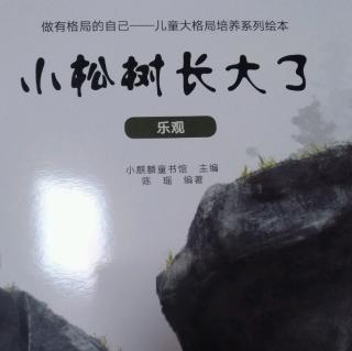 小松树长大了——乐观