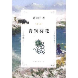 《青铜葵花》第一章 小木船2