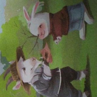 小白兔与小灰兔