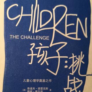 175《孩子挑战》排行对孩子的影响2