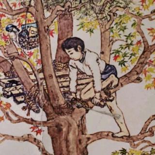 《为什么孩子要上学》—树上的读书之家