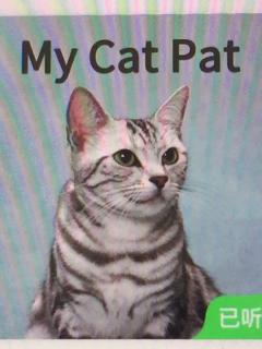 My Cat Pat