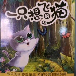 一只想飞的的猫（31…63）