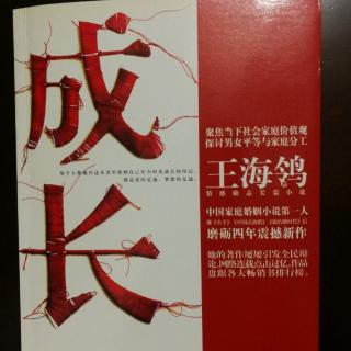 长篇小说：成长20