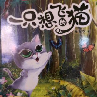 一只想飞的猫（64—90）