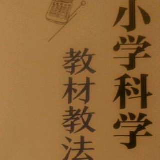 《光》教学设计