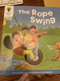 the rope swing