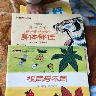 早上好＋动物们独特的身体部位＋相同与不同