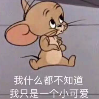 新闻节选