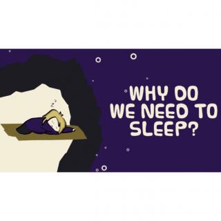 Why do we need to sleep？💤