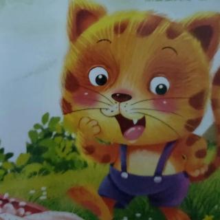 不洗脸的小花猫