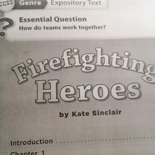 Firefighting Heroes    Summer