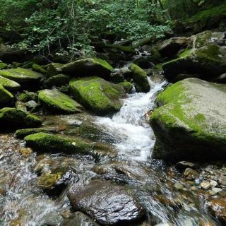 助眠/大自然流水声