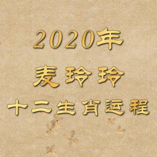 粤语  2020年麦玲玲十二生肖运程