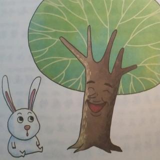 《桃树下的小白兔》