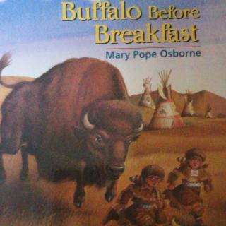 Buffalo Before Breakfast(7)