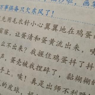 我成功了11月4号