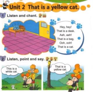 yellow cat