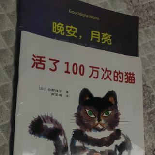 活了100万次的猫＋晚安月亮