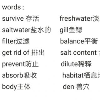 Words of Do Fish Drink Water and Animal Habits