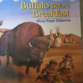 Buffalo Before Breakfast(8)