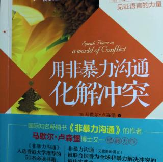 《用非暴力沟通化解冲突》第11章 处理冲突和对抗（P125～128）