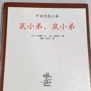 绘本故事《鼠小弟，鼠小弟》