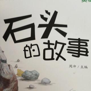 《石头的故事》