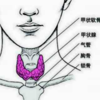 情绪对甲状腺疾病有影响吗？