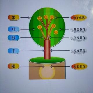 人民日报：教育改革要从家长教育开始