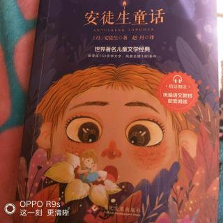 小意达的花